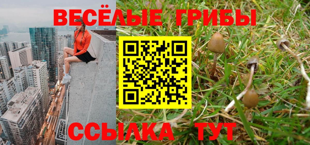 Михайловск  Галлюциногенные грибы GOLDEN TEACHER  дарнет шоп  Вход с VPN  Псилоцибиновые грибы Cubensis 