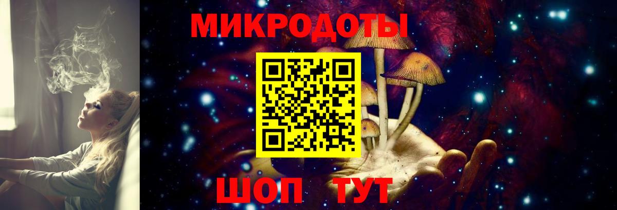 Псилоцибиновые грибы мицелий Михайловск